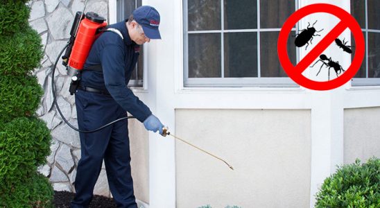 Akkuş Bit İlaçlama böcek ilaçlama ve haşere kontrolü — ilaclama-tr.com
